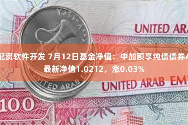 配资软件开发 7月12日基金净值：中加颐享纯债债券A最新净值1.0212，涨0.03%