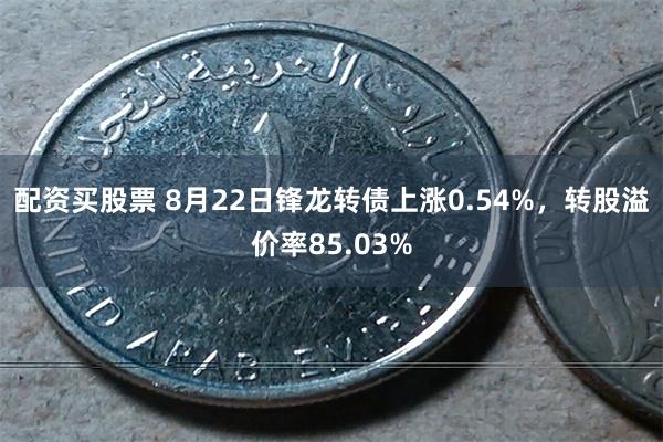 配资买股票 8月22日锋龙转债上涨0.54%，转股溢价率85.03%